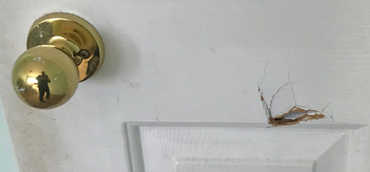 interior door hole repair Adelanto